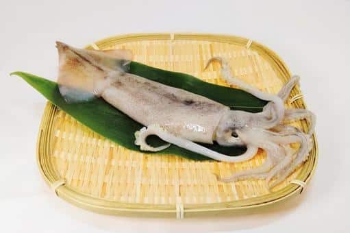 イカ,イメージ