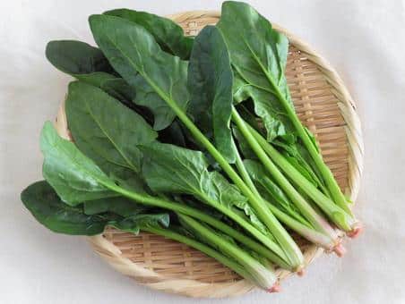 ほうれん草,イメージ